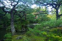 Ginkaku-ji - Silberner Pavillon - Kyoto