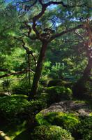 Heian-Schrein-Garten - Kyoto