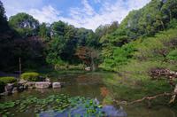 Heian-Schrein-Garten - Kyoto