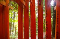 Fushimi-Inari-Schrein - Kyoto