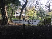 Tokyo - Meiji-Schrein