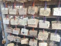 Tokyo - Meiji-Schrein