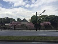 Tokyo - am Kaiserpalast