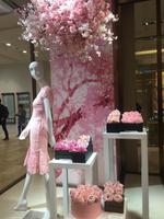 Tokyo - Ginza - Mitsukoshi