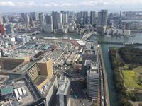 Tokyo - Blick vom Shiodome