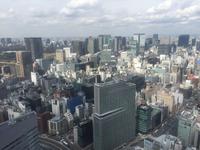 Tokyo - Blick vom Shiodome