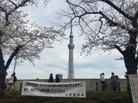 Tokyo Sky Tree