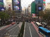 Tokyo - Kreuzung in Shibuya