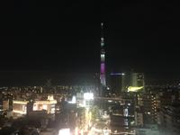 Tokyo - Blick vom Hotel