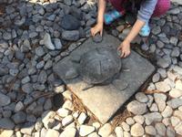 Nikko - Toshogu-Schrein-Anlage