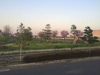 Tokyo in der Dämmerung