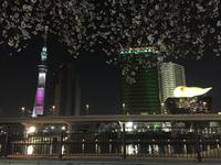 Tokyo Ske Tree am Abend