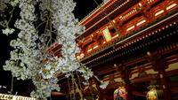 Tokyo - Asakusa-Kannon-Tempel am Abend