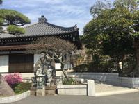Kamakura - Hase-dera-Tempel
