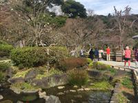 Kamakura - Hase-dera-Tempel