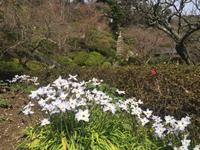 Kamakura - Hase-dera-Tempel