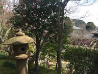 Kamakura - Hase-dera-Tempel