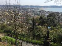 Kamakura - Hase-dera-Tempel