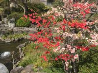 Kamakura - Hase-dera-Tempel