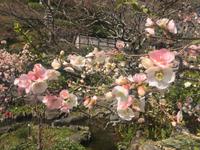 Kamakura - Hase-dera-Tempel