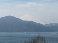 Fuji-San vom Park am Ashi-See