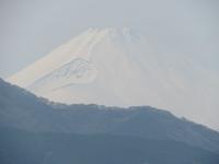 Fuji-San vom Park am Ashi-See