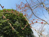 Gotemba-Friedenspark