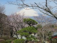 Gotemba-Friedenspark