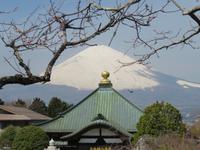 Gotemba-Friedenspark