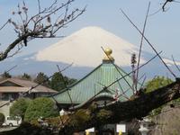 Gotemba-Friedenspark