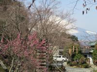 Gotemba-Friedenspark