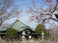 Gotemba-Friedenspark