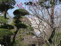 Gotemba-Friedenspark