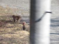Fahrt durch die Süd-Alpen nach Takayama