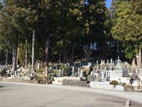 Takayama - Tempelweg