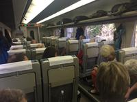 Zugfahrt Takayama - Nagoya