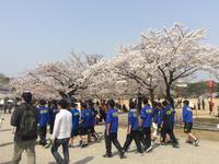 Himeji - Burg des weißen Reihers