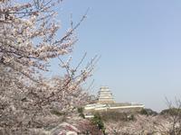 Himeji - Burg des weißen Reihers