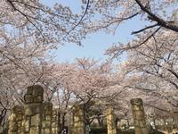 Himeji - Burg des weißen Reihers