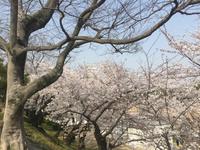Himeji - Burg des weißen Reihers