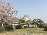Himeji - Burg des weißen Reihers