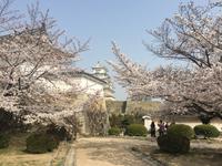 Himeji - Burg des weißen Reihers