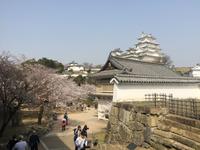 Himeji - Burg des weißen Reihers
