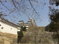 Himeji - Burg des weißen Reihers