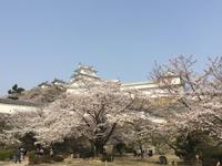 Himeji - Burg des weißen Reihers