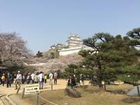 Himeji - Burg des weißen Reihers