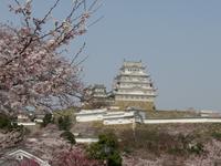Himeji - Burg des weißen Reihers