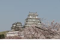 Himeji - Burg des weißen Reihers