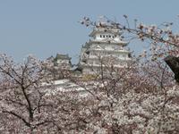 Himeji - Burg des weißen Reihers