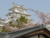 Himeji - Burg des weißen Reihers